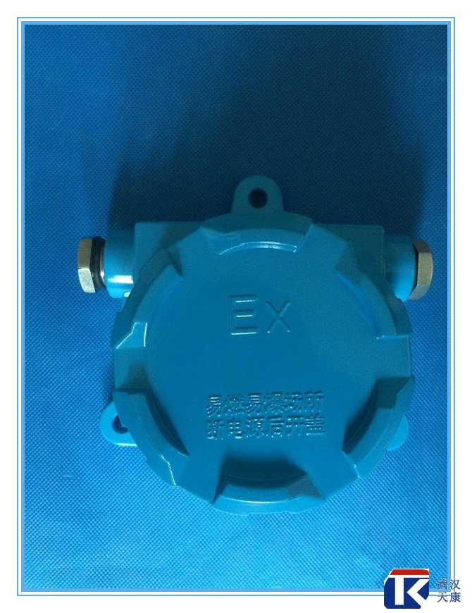 壁掛式防爆熱電阻/pt100、4-20mA輸出