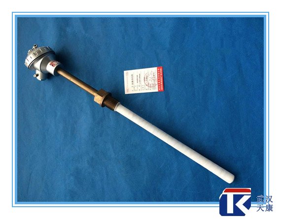 襯伺氟防腐熱電阻（燒結式）/pt100熱電阻