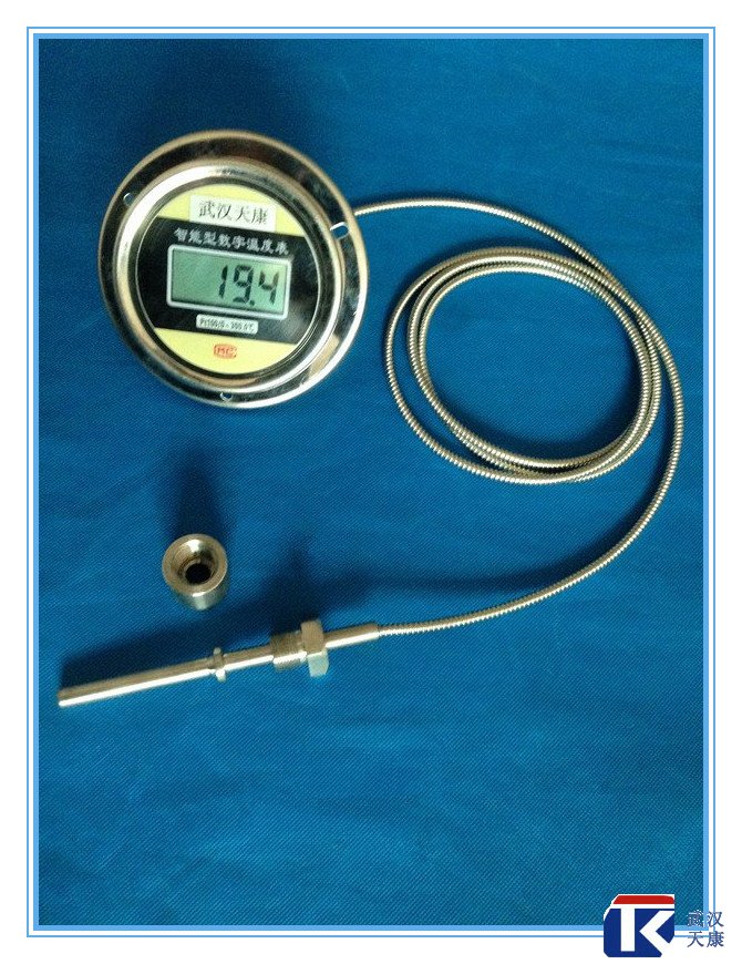 數(shù)顯溫度計(jì)/無源溫度傳感器/pt100熱電阻
